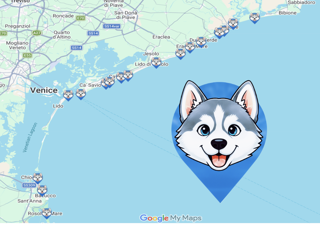 Dog Beaches in Veneto